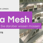 Data Mesh und alles was Sie darüber wissen müssen